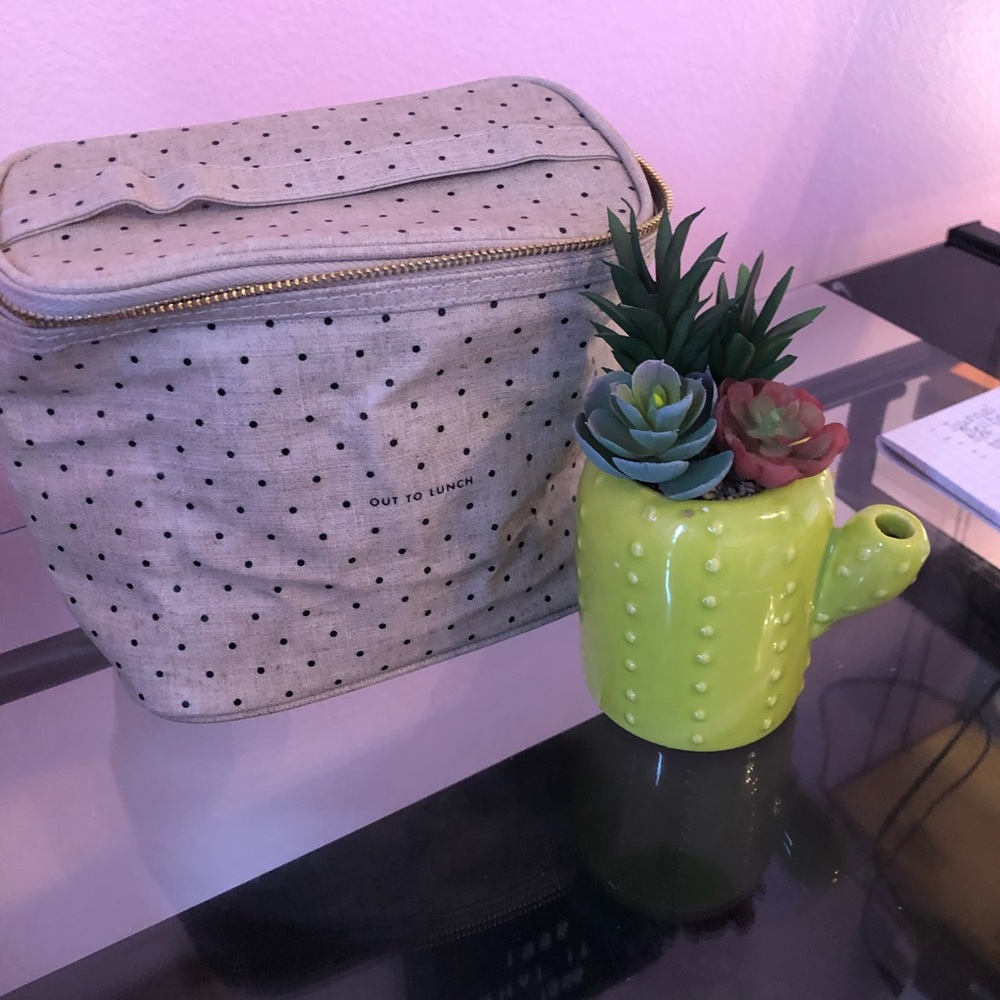 Polka Dot Lunch box
